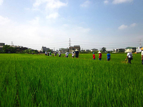 想變「專業農夫」嗎？百大青農遴選今開跑