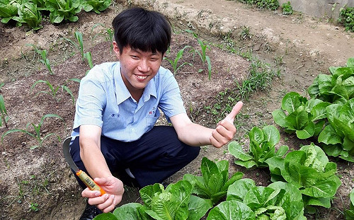 高中校園也成開心農場？愛吃什麼青菜全部自己種