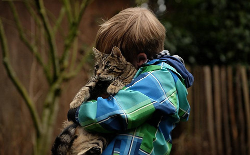 贏得貓皇信賴有絕竅！適時誇獎很重要