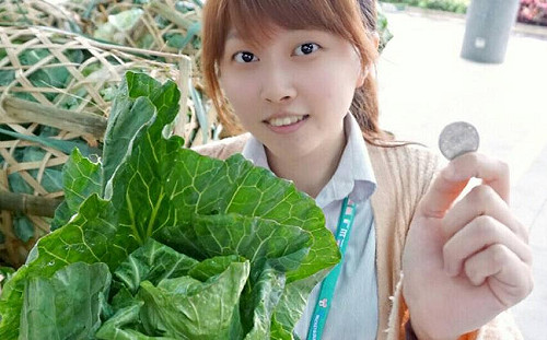 10元搶限量蔬果 板橋假日農民市集周末搶鮮