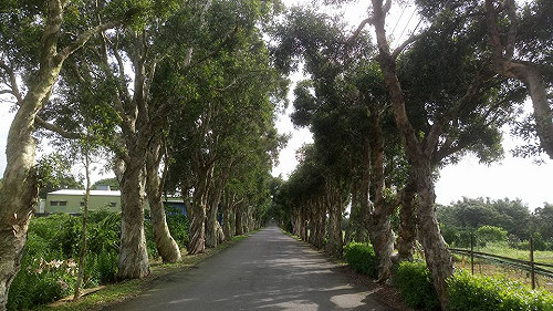 94瘋藝術秘境找地景 好手來駐村