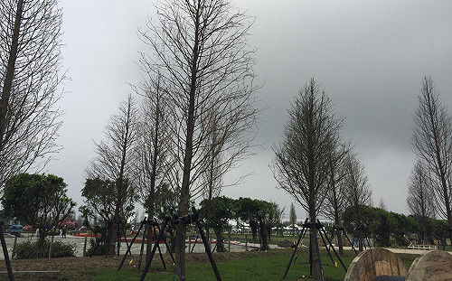 老天爺又變臉！氣象專家提醒民眾慎防午後陣雨