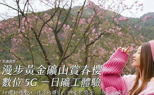 旅讀週曆／櫻是良辰好景！春日賞花景點推薦　黃金博物館讓你一秒來到日本