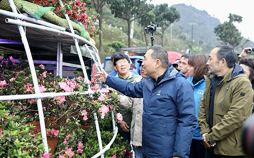 萬金杜鵑移動花聚落盛大開展  228連假週末踩點好禮放送  