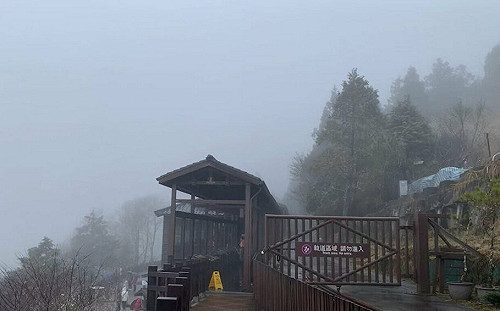 太平山0度水氣不足未降雪 下起霧雨現少許霧淞