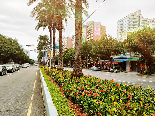 新北林口文化一路中央分隔島景觀再升級 