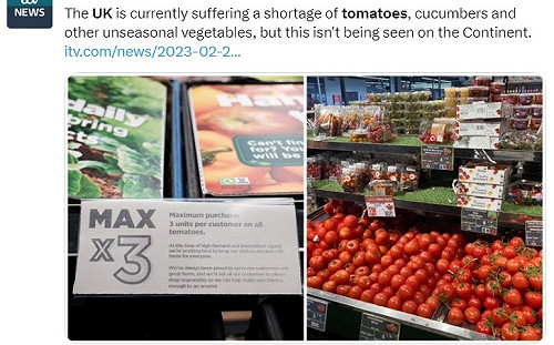 有錢也買不到！英國超市發番茄限購令 每人買3顆