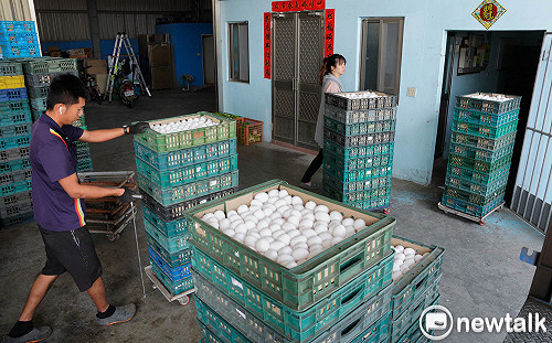 蛋價恐再攀升! 阿根廷 10 省份爆禽流感逾 26 萬雞隻死亡