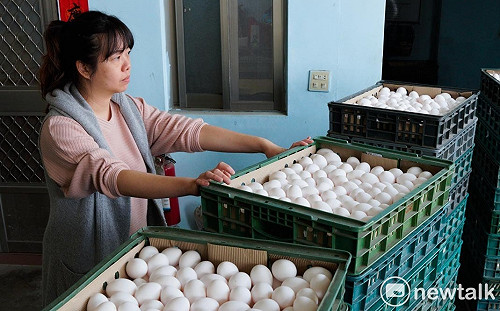 颱風＋高溫  蛋價連2週漲！批發價明起漲3元