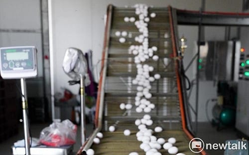 早餐店烘焙業全納管！7月起強制用噴印洗選蛋 農業部：違者最高罰3萬元