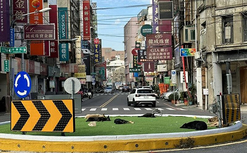 彰化最小寵物公園超萌！網反揭危機