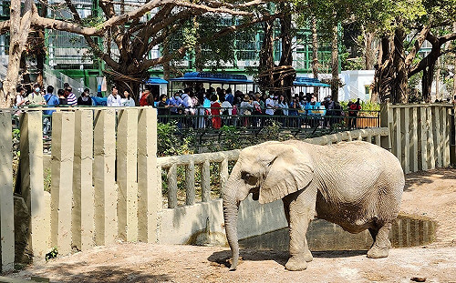 壽山動物園攜手英領館及義大世界推超值入園優惠