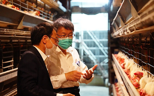 稱「不再提強國等距」論 柯文哲怨：綠營掌握媒體 講什麼都搞認知作戰 