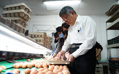 參觀彰化蛋雞場 柯文哲批政府效能太差、遇問題只會補助撒幣