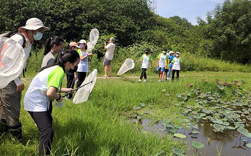 新北濕地故事館「巡‧覓」特展登場