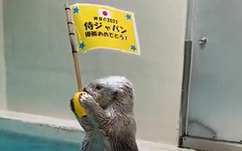 慶日本奪冠！呆萌海獺高舉勝利旗幟
