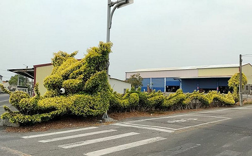 路上突見「一條龍」！當地人曝位置