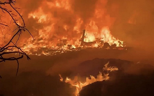 台東知本溼地雜草火警  熊熊火光數公里外可見