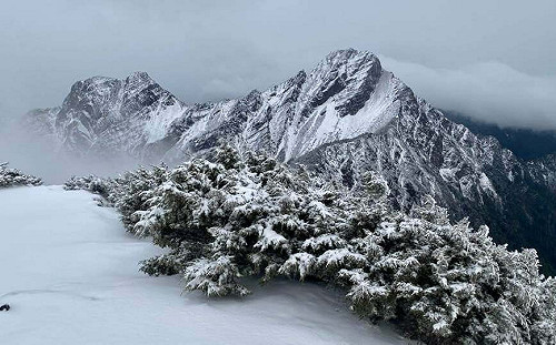 玉山降初雪！連下9小時 鄭明典曬銀白雪景照