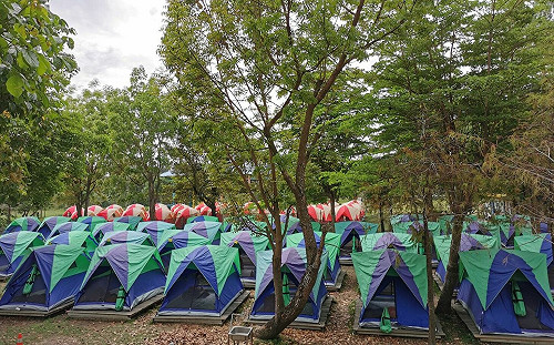 高市國小學生露營罰跪案  行為人違反兒少法裁處罰鍰