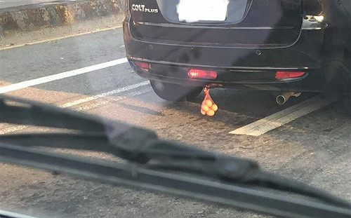神秘儀曝光！汽車「車尾掛7雞蛋」