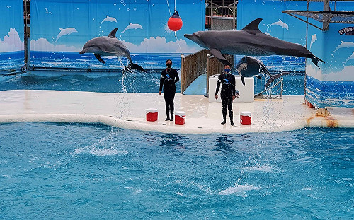 新北活動不間斷 合法旅宿最安心 