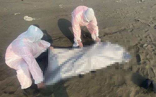 高雄港外海發現越女浮屍 港警總隊擴大追查落海原因