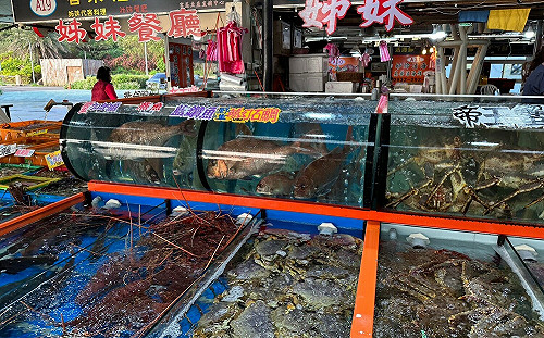 花枝盛產 遊新北老梅綠石槽、富基漁港嚐花枝 