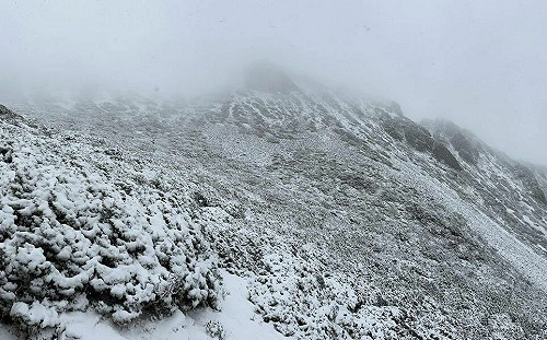 雪山主峰降下4月雪！網曬雪景照：真的不是愚人節玩笑