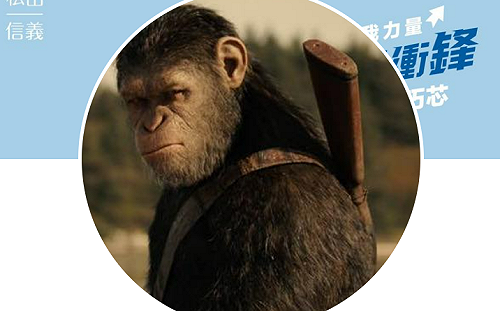 開酸費鴻泰？徐巧芯頭貼換「芯球崛起」稱：年紀到就交棒 