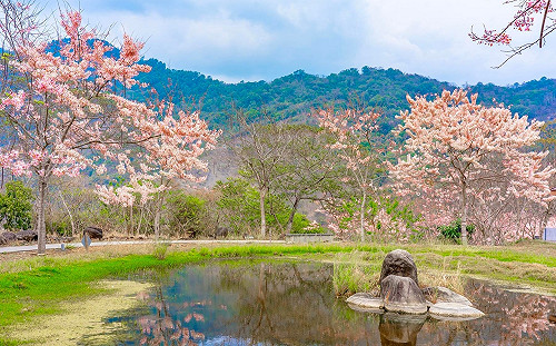 連假高雄必玩景點   動物園、崗山之眼、東高雄山城小旅行