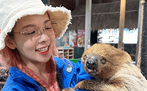 相似度99%！滴妹圓夢與樹懶相見歡  網驚呼：真的太像了