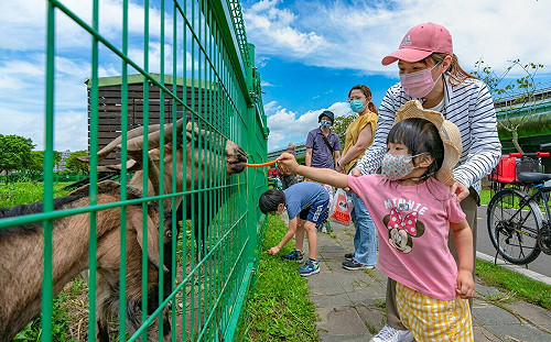 來趟不一樣的新北親子遊 探索江翠礫間神秘魔法石 