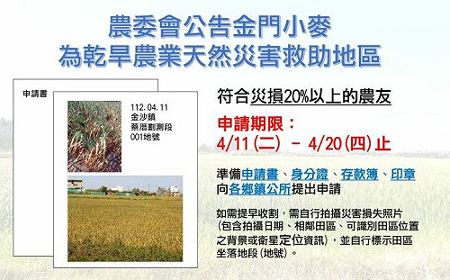 金門小麥「農業災害救助金」 申請只到這天
