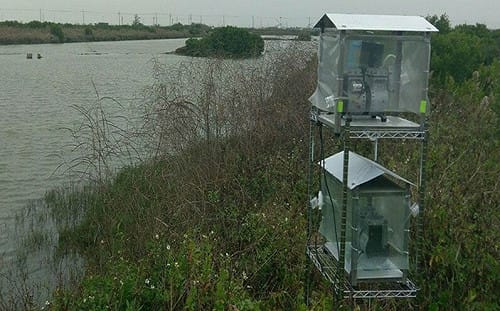 搶救蛋蛋危機  高醫大教授空氣監測禽流感病毒登國際期刊