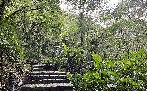 走進森林大口深呼吸！台北大縱走導覽活動5/20療癒登場