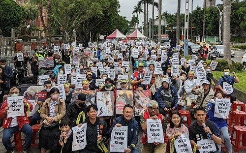 批修法牛步、稽查困難！徐巧芯聲援「動保法連署」 籲從母法著手