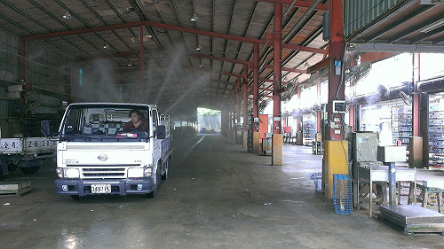 亞型高病原性禽流感  新北禽屠場也中招