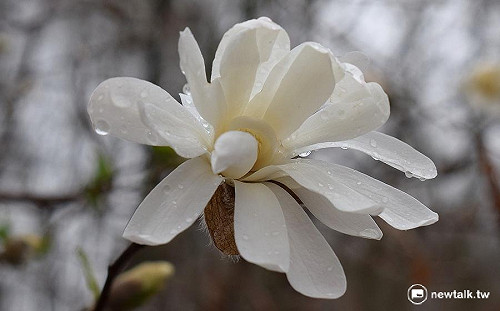 好天氣結束雨來了 彭啟明：明天鋒面又來亂