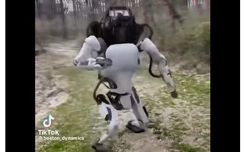 機器人大軍造假影片瘋傳 網酸某裹董看到假帳號了