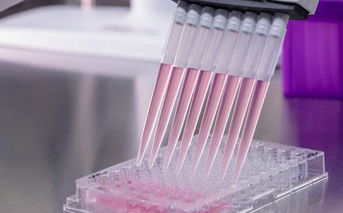 網傳高端流感疫苗為三流產品？官方不忍回應：已通過３期臨床試驗獲世衛認證