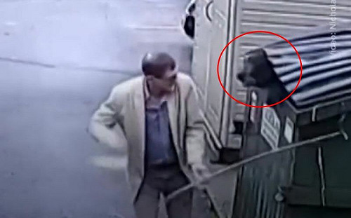 (影)黑熊躲進垃圾桶！校長掀開嚇壞秒逃亡