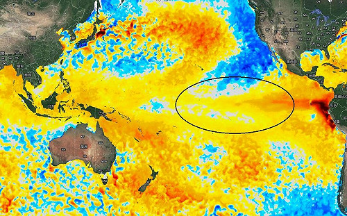 難靠颱風救水情！鄭明典揭原因網嘆：我們要變沙漠了嗎