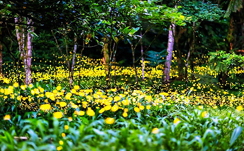 新北健檢觀光遊樂業   保障民眾快樂遊   