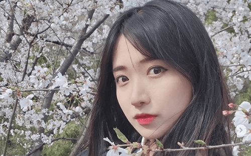 企鵝妹收「斗笠」完美融入「苗栗國！」客家花布造型網讚：細妹按靚