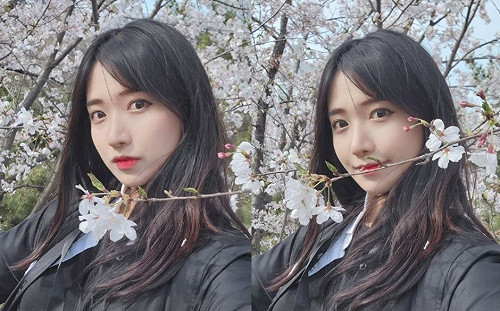 企鵝妹環島「網路討論破萬」哪裡好看？PTT忠實觀眾列「6點」原因　眾人點頭：真的蠻有趣