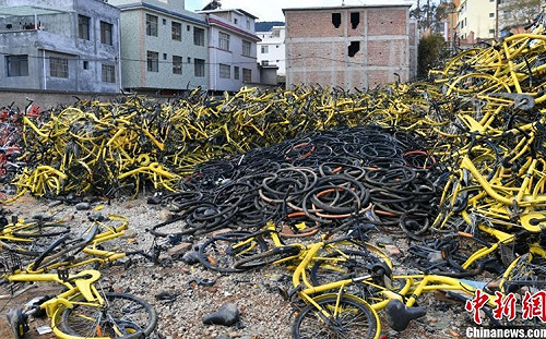 海撈60多億押金未退!  ofo戴威被爆在美開咖啡店 中媒怒問 : 他是怎麼出國的?