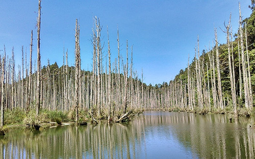 水漾森林遭協作業者佔用營地！嘉義林管處簽環境維護公約