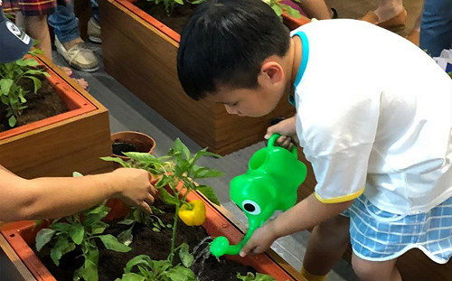 522世界都市農夫日 新北綠美學輔導團帶您輕鬆種植 
