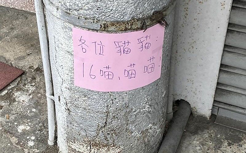 電線桿貼「喵喵字條」何意？解答揭曉引爆笑